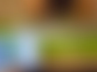 VIET MODEL WITH T&T GROUP | Project News No.01: T&T MILLENNIA CITY 