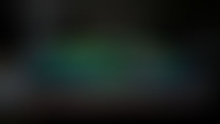 Newsletter No8-2022: Premium Model – High-grade Project