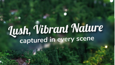 Lush, vibrant nature captured in every scene