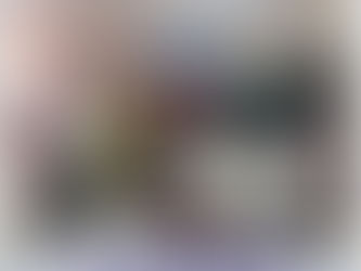 AMUT ACOMPANHA SECRETÁRIA DE ASSISTÊNCIA SOCIAL DE VITÓRIA DO XINGU NA SEASTER