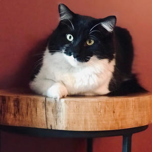 Chase: "I'll sit where I want."