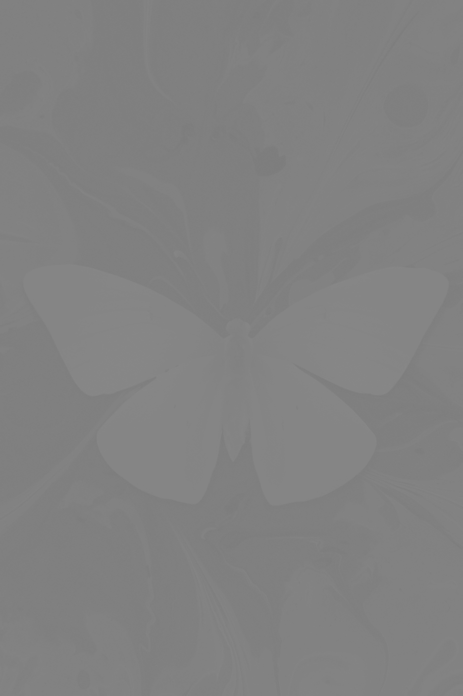 Butterfly on Ink _edited_edited_edited_e