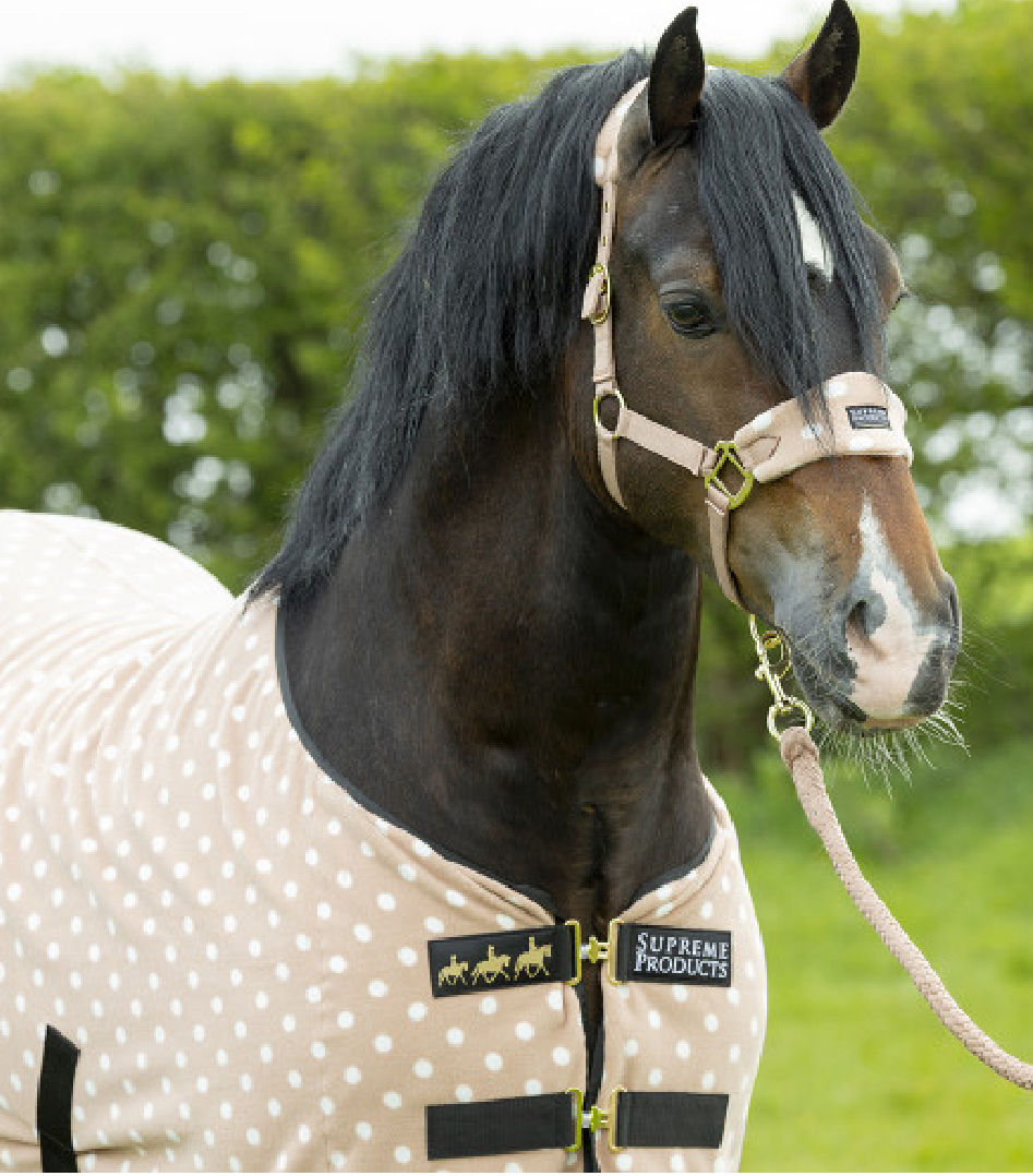 Supreme Products Dotty Fleece Head Collar & Lead Rope