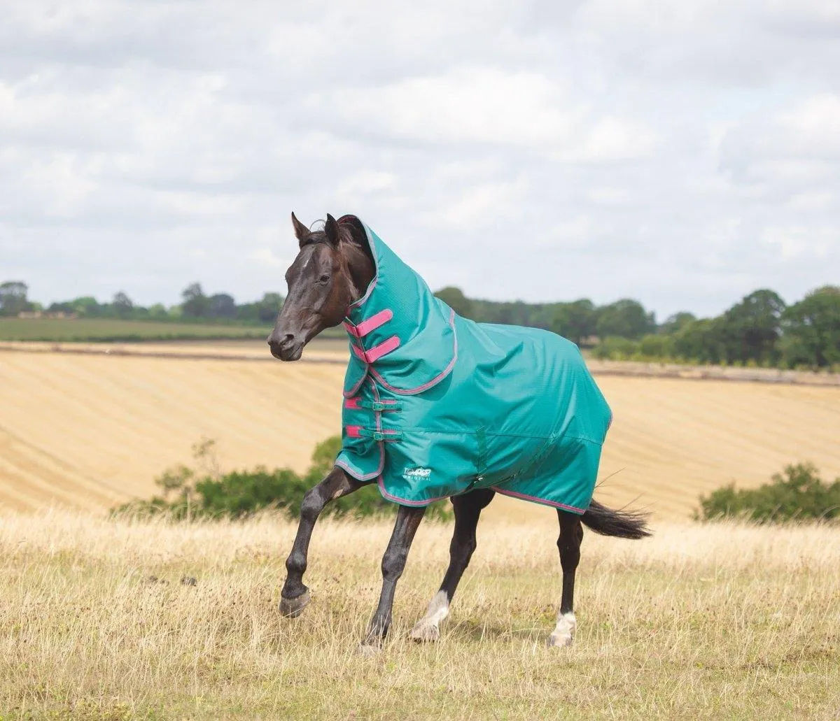 5’3 shires 100g turnout 