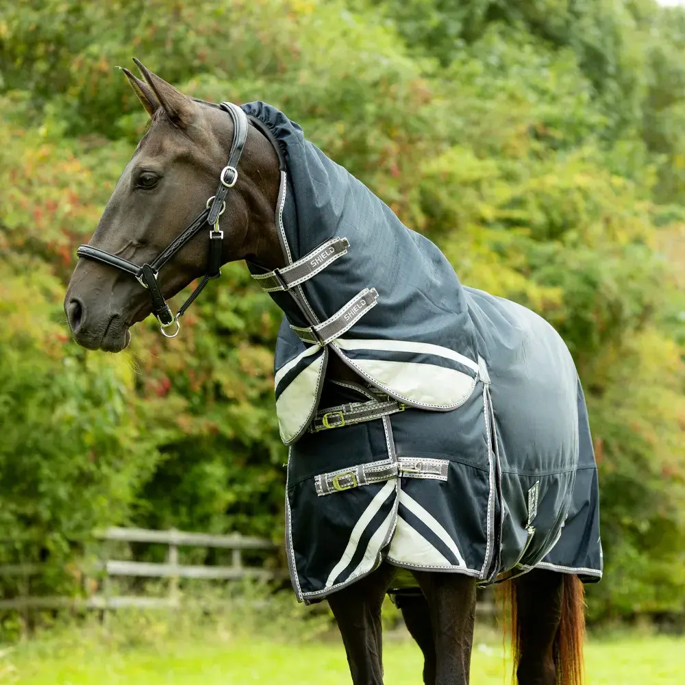 DefenceX Shield 200g Turnout Rug with Detachable Neck