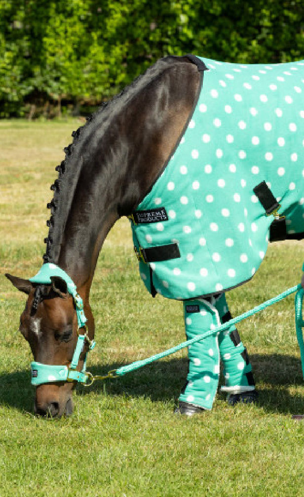 Thumbnail: Supreme Products Dotty Fleece Boots