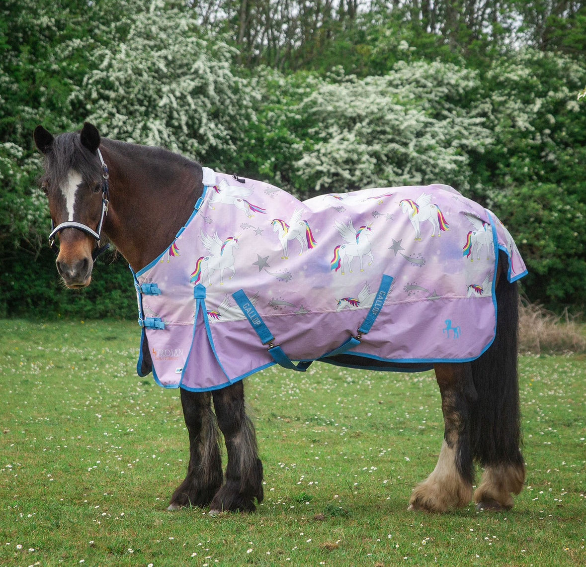 GALLOP TROJAN DURAPROOF OG LIGHTWEIGHT TURNOUT PEGACORN