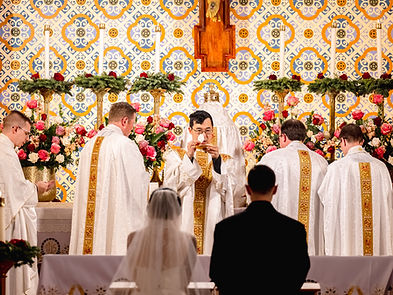 Faclone(450) (1).jpg