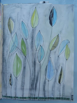 Classification study '16