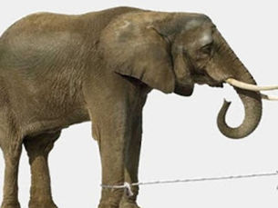 Saia desse cativeiro mental!