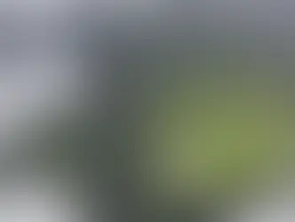 Ele não estava na cadeira dos desdenhosos!