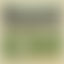 CRICKET EVERYWHERE, THANKS TO OPULENT SPORTS!