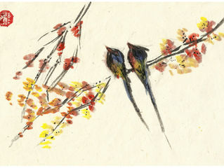 The Brightest of Birds