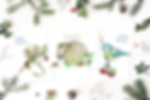 Christmas Card Multipack - dormouse, bluetit and hedgehog