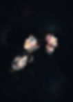 _DSF6667.JPG