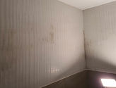 20220326_103431.jpg
