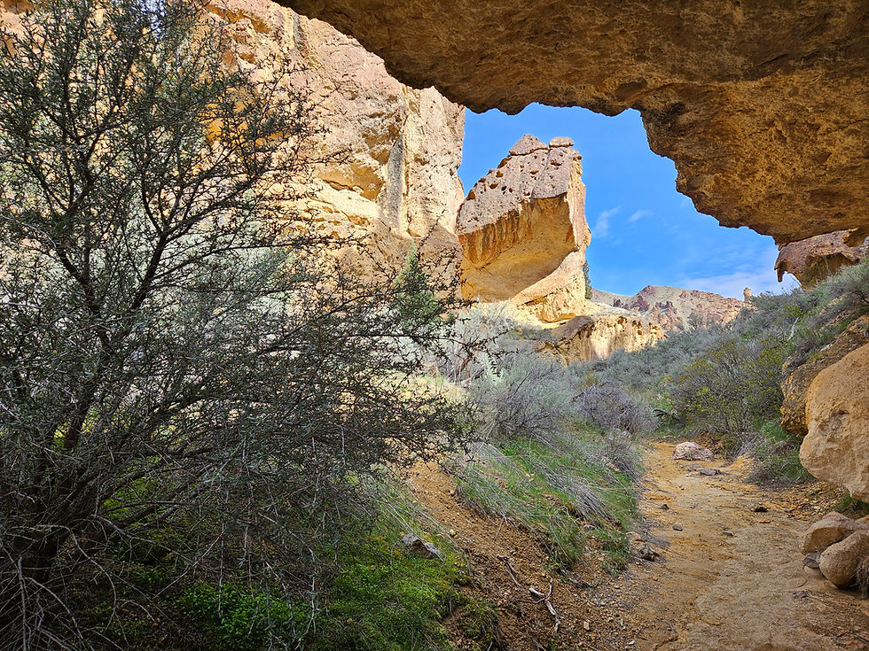 Deep in the Owyhee Canyon