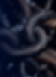 Contact us.png