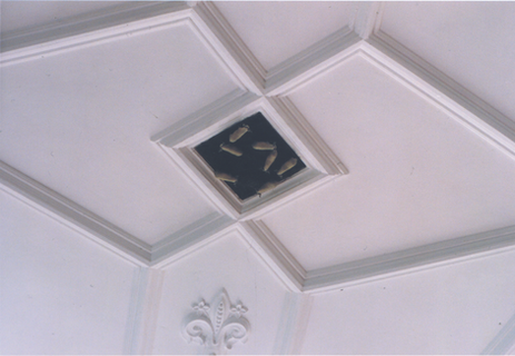 3. Light Enclosure.tif
