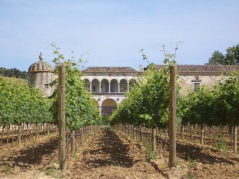 Bacalhoa - 4 Garden.JPG