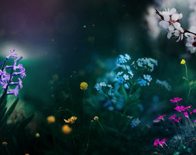 The Importance of Learning Photoshop: A Must-Have Skill for Designers