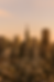 722821B2-E154-467E-BE4B-7F1EA3A95906.PNG