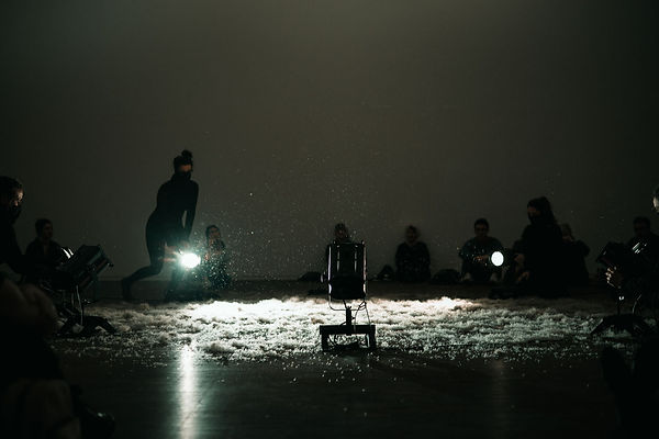 art contemporain performance artiste suisse spectacle graînes danse mouvement poétique