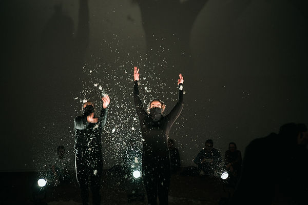 art contemporain performance artiste suisse spectacle graînes danse mouvement poétique