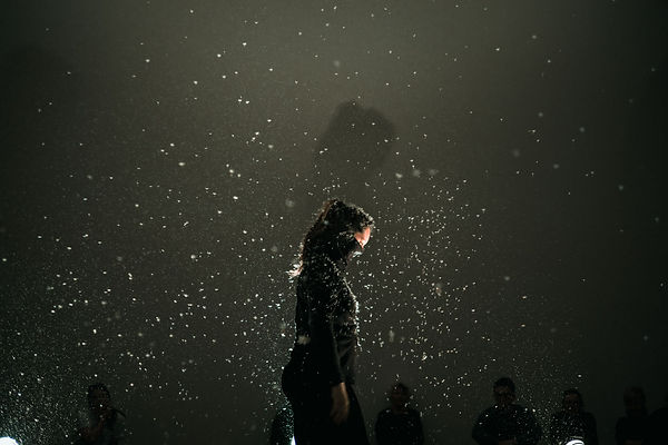 art contemporain performance artiste suisse spectacle graînes danse mouvement poétique