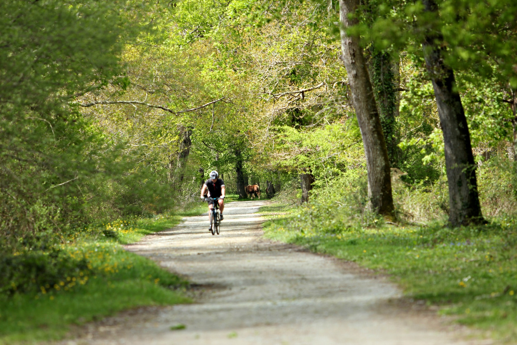 Balade Vélo Adour