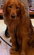 IMG_8087.jpg