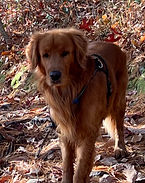 IMG_8089.JPEG