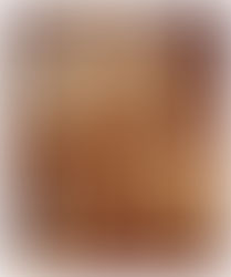 Feast of the Baptism of the Lord - 10th January 2016