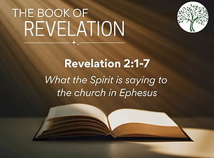 Ephesians 1 1-23 (14)_edited.jpg