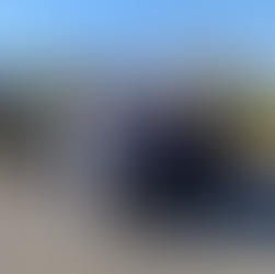 Экскурсия в Екатерининский парк и музей города Тирасполь