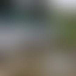 Экскурсия в Строенцы для 7А класса