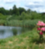 sahale - Pond w Rhoddie-trimmed.jpg