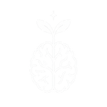 file_000000005264622fa9ff5cf8615221d6 (1).png
