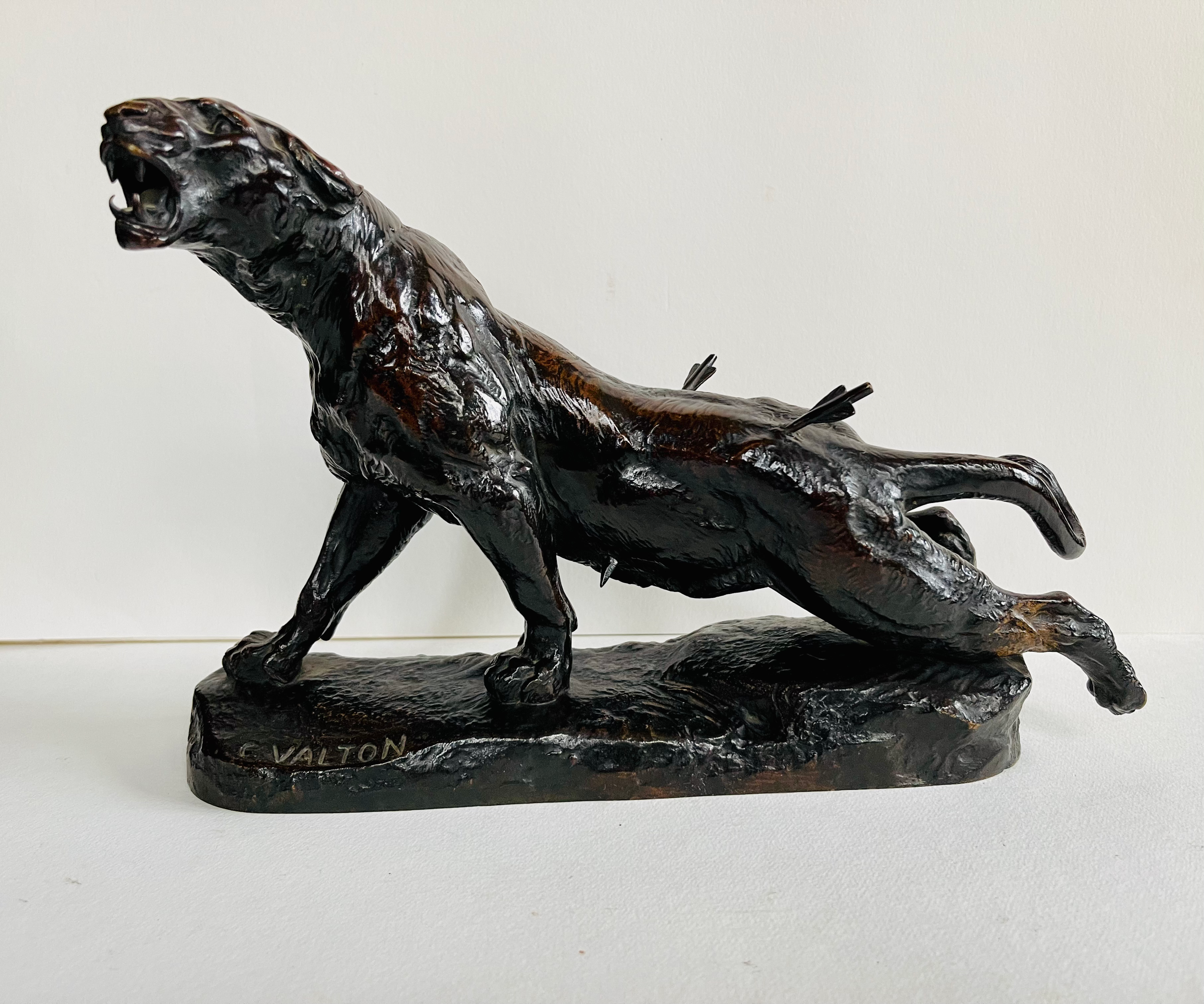 LA LIONNE BLESSÉE - CHARLES VALTON 