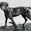 Miniature : CHIEN BRAQUE SEUL N°3 - PIERRE JULES MÈNE