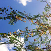 IMG_5639.JPG