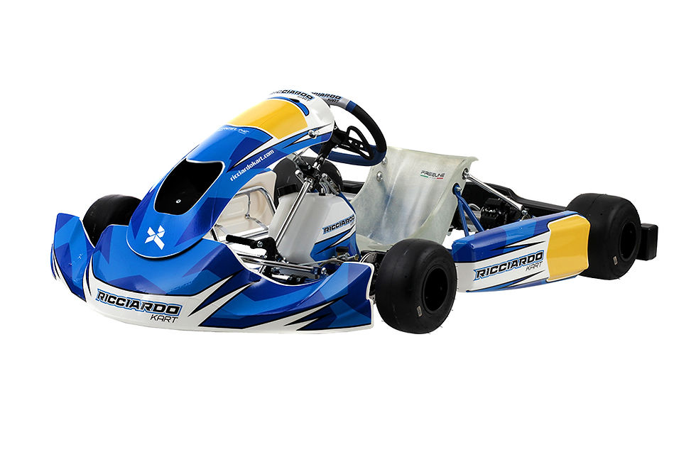 Ricciardo Rotax Max DD2
