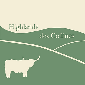 LOGO DEF.png