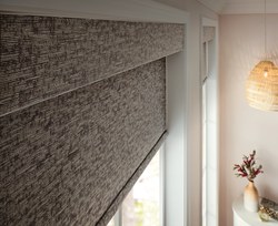 Roller Shades (9).png