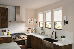 Roller Shades (3).png