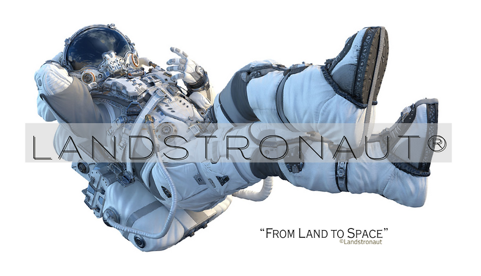 My project copy-1 (22).png