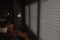 Pleated Shades (25).png