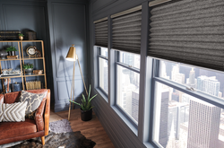 Pleated Shades (28).png