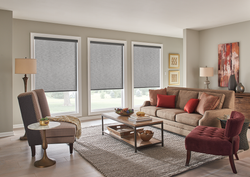 Roller Shades (2).png