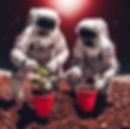 stocks and coffee 13.JPG